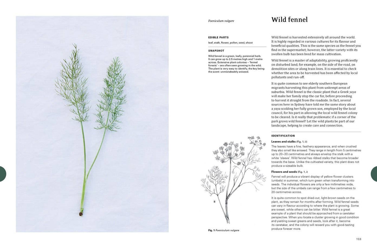 Eat Weeds: A Field Guide to Foraging