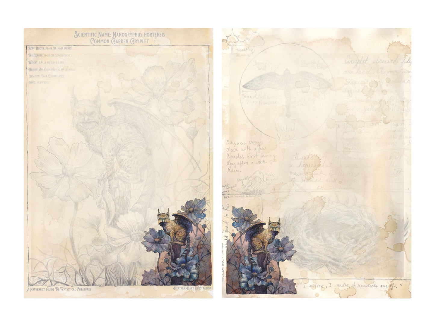 Dark Academia Notepaper Set | Vintage Gryphon Art | A Naturalist's Guide to Fantastical Creatures | Complete Writing Kit