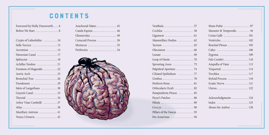 Anatomical Oddities