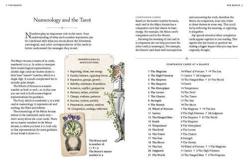 Antique Anatomy Tarot Kit